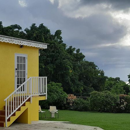 Spectacular Ocean View Retreat Saint James Exterior foto